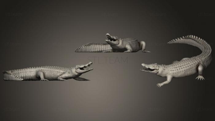3D model Crocodile (STL)